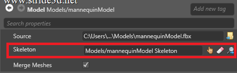 Model skeleton